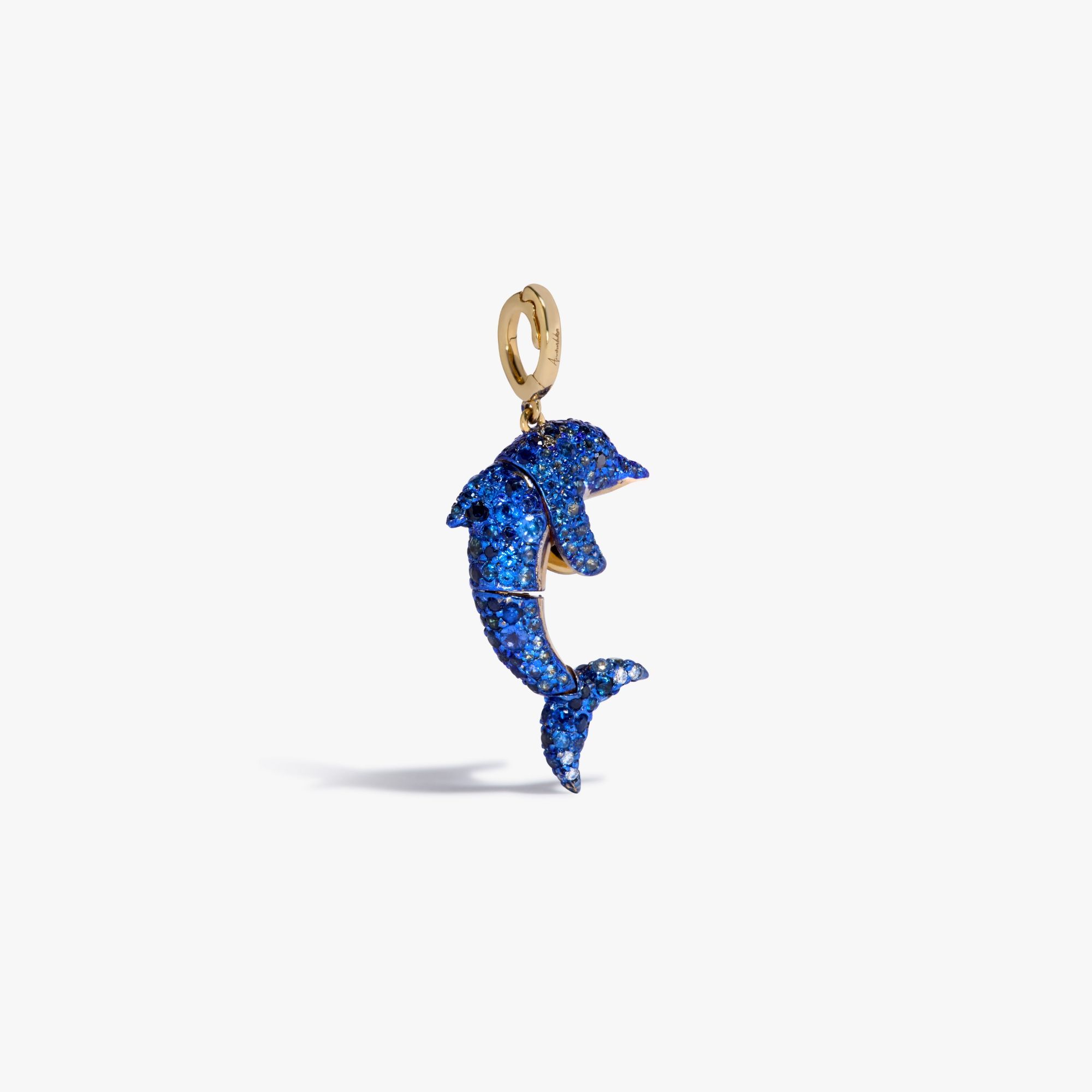 Bert Dolphin Charm