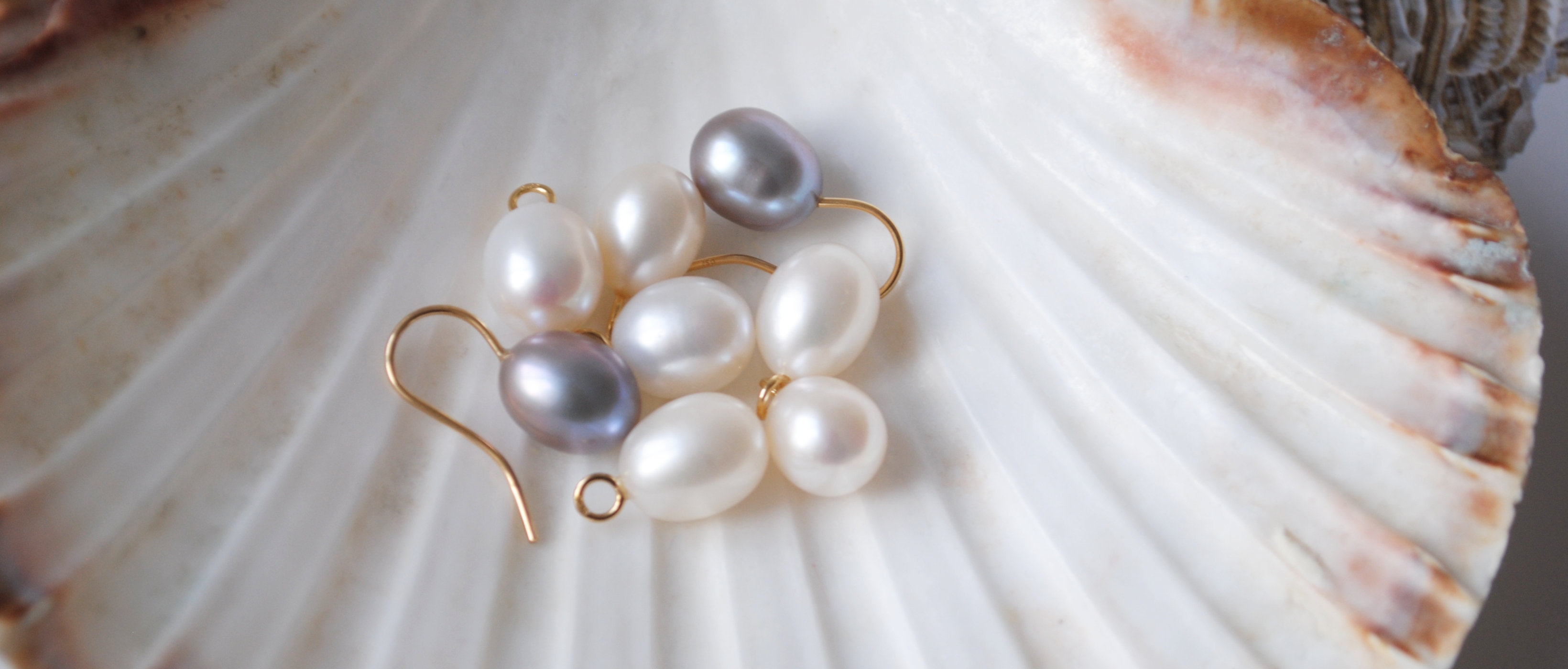 pearl earrings in a shell 