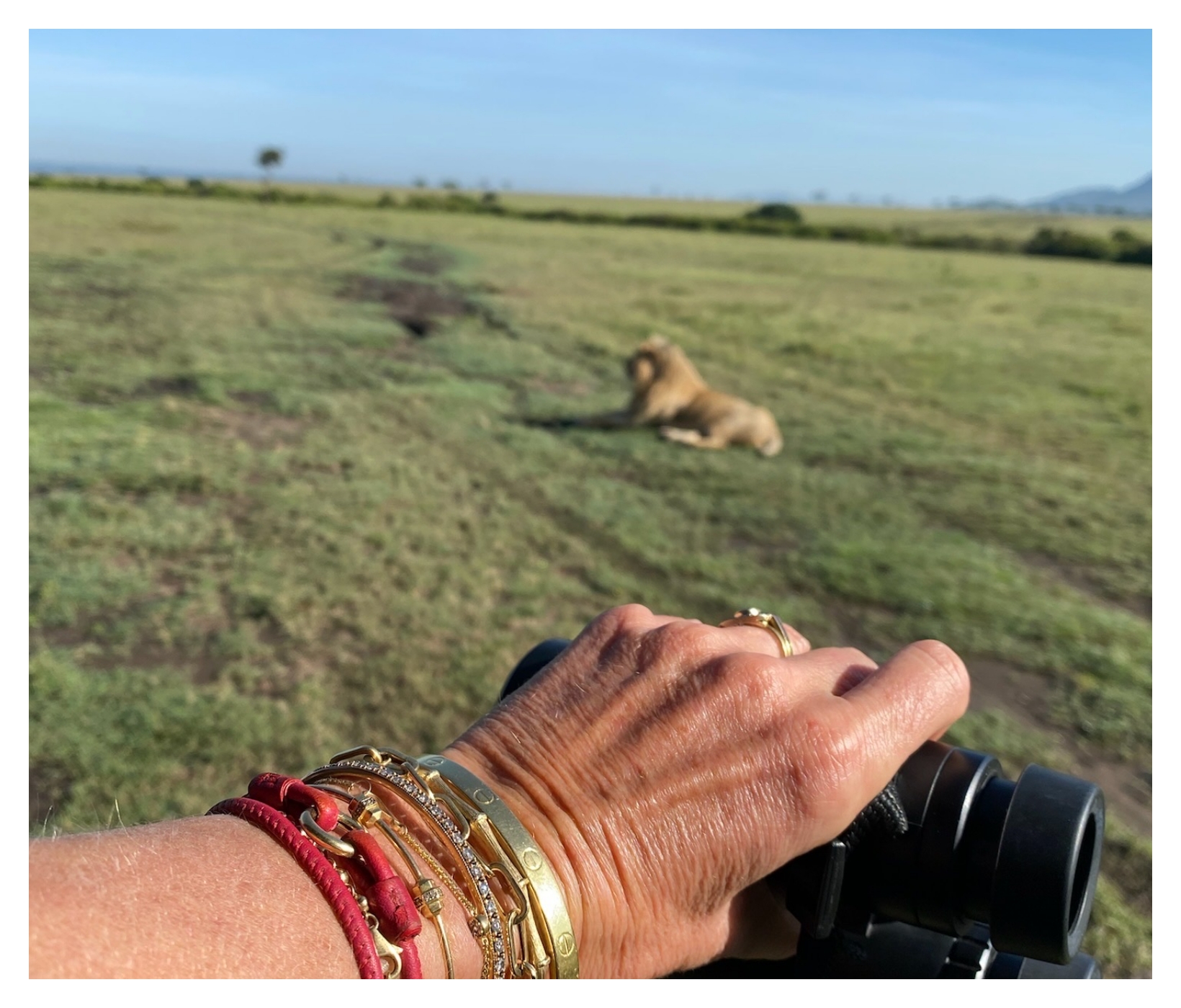 woman's hand and wrist wearing bracelets and holding binoculars 