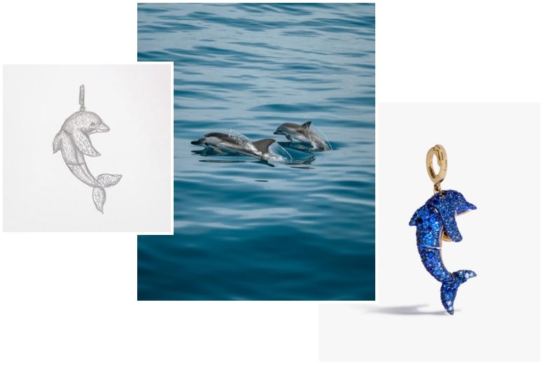 bert the dolphin charm, dolphins in the sea