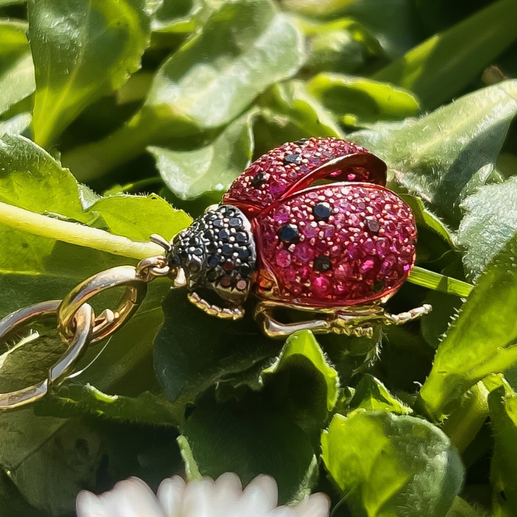 lady bird charm