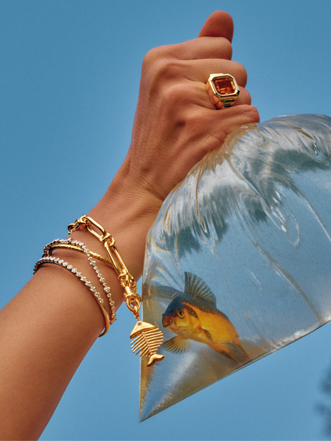 goldfish in bag held up by hand wearing gold jewellery 